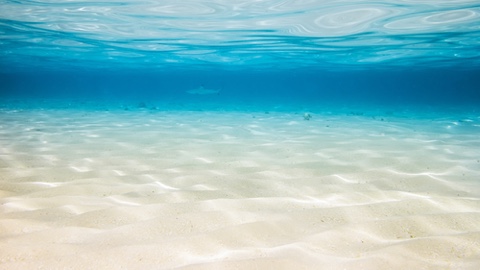 Lamont-Doherty Earth Observatory Launches Seagliders to Survey Ocean Conditions