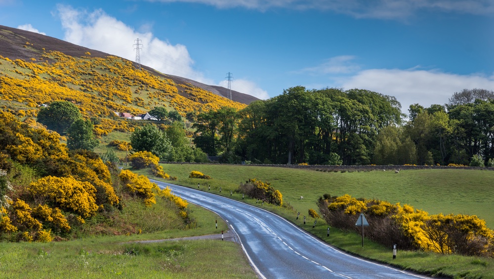 Scotland Government Targets EV Saturation
