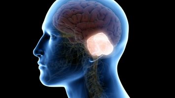 VR Training Is Amplified Through Cerebellum Stimulation